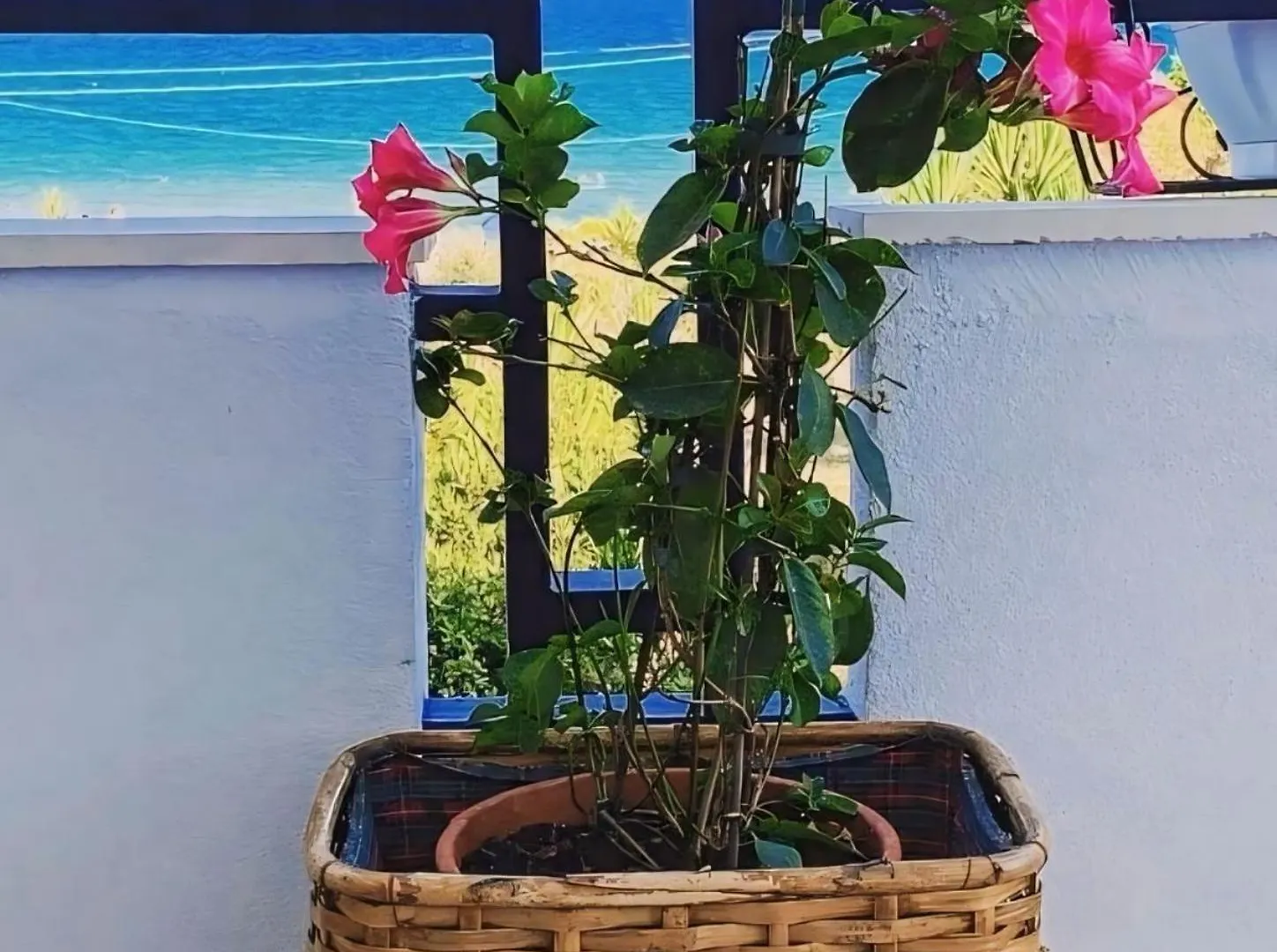 Hébergement de vacances Villa Il Mare Di Ciccio à Avola Italie